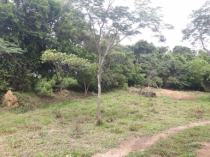 Mata ciliar